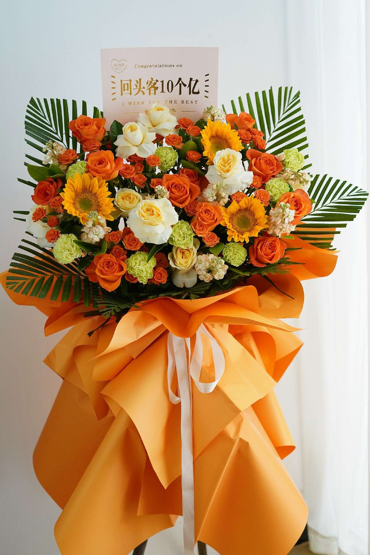 XLARGE 1.7M- 1.8M HEIGHT GRAND OPENING