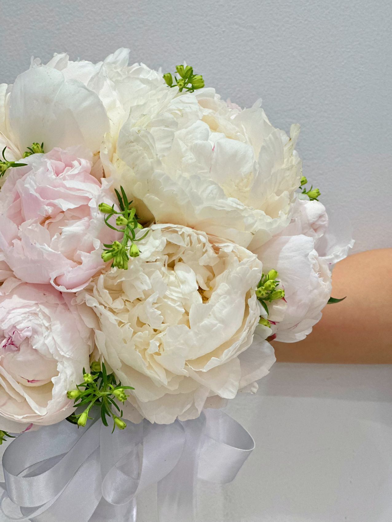 Peony Grace