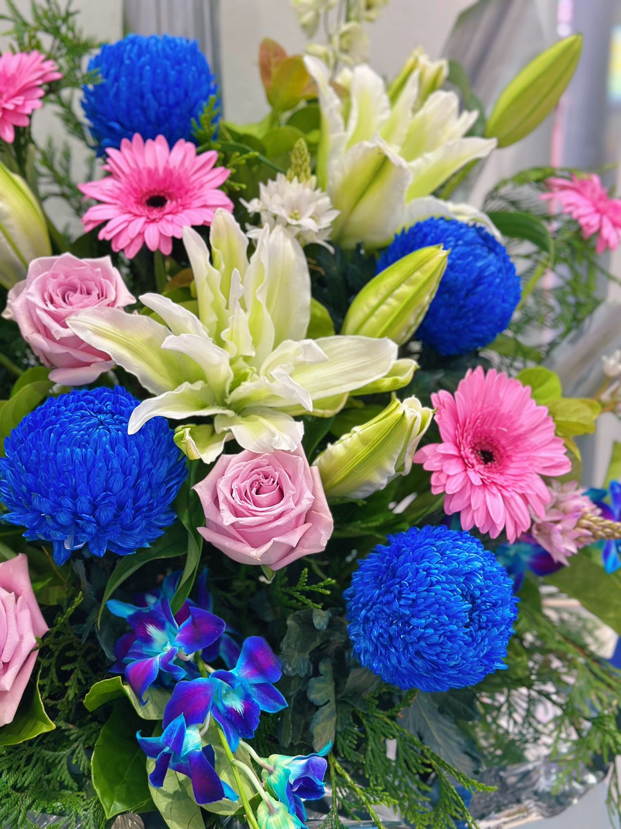 Blue Radiance Grand Opening Flower