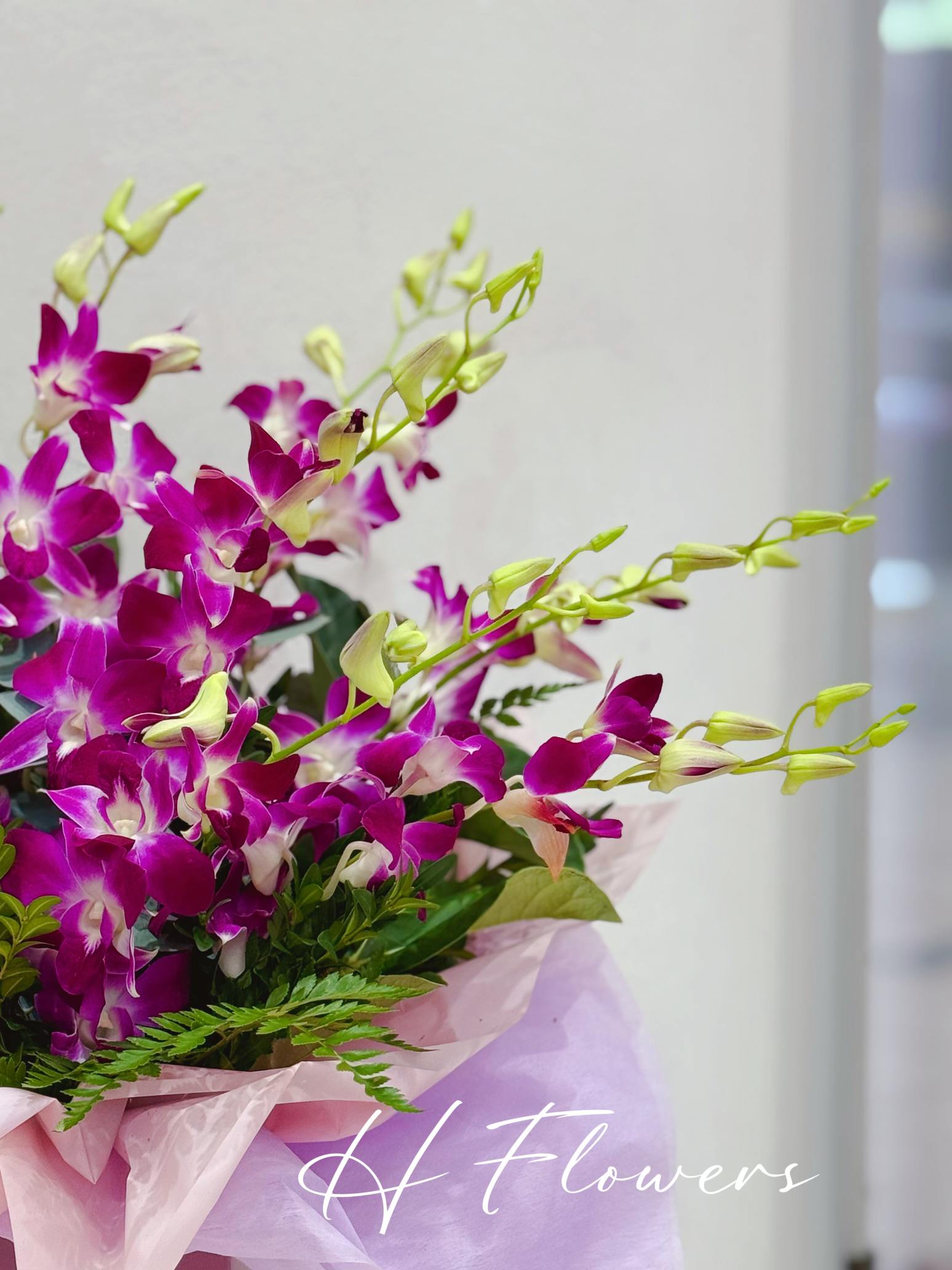 Large Purple Singapore Orchids Box