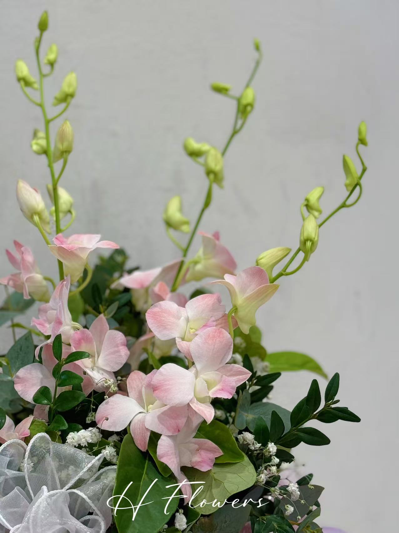 Pink Singapore Orchid Box