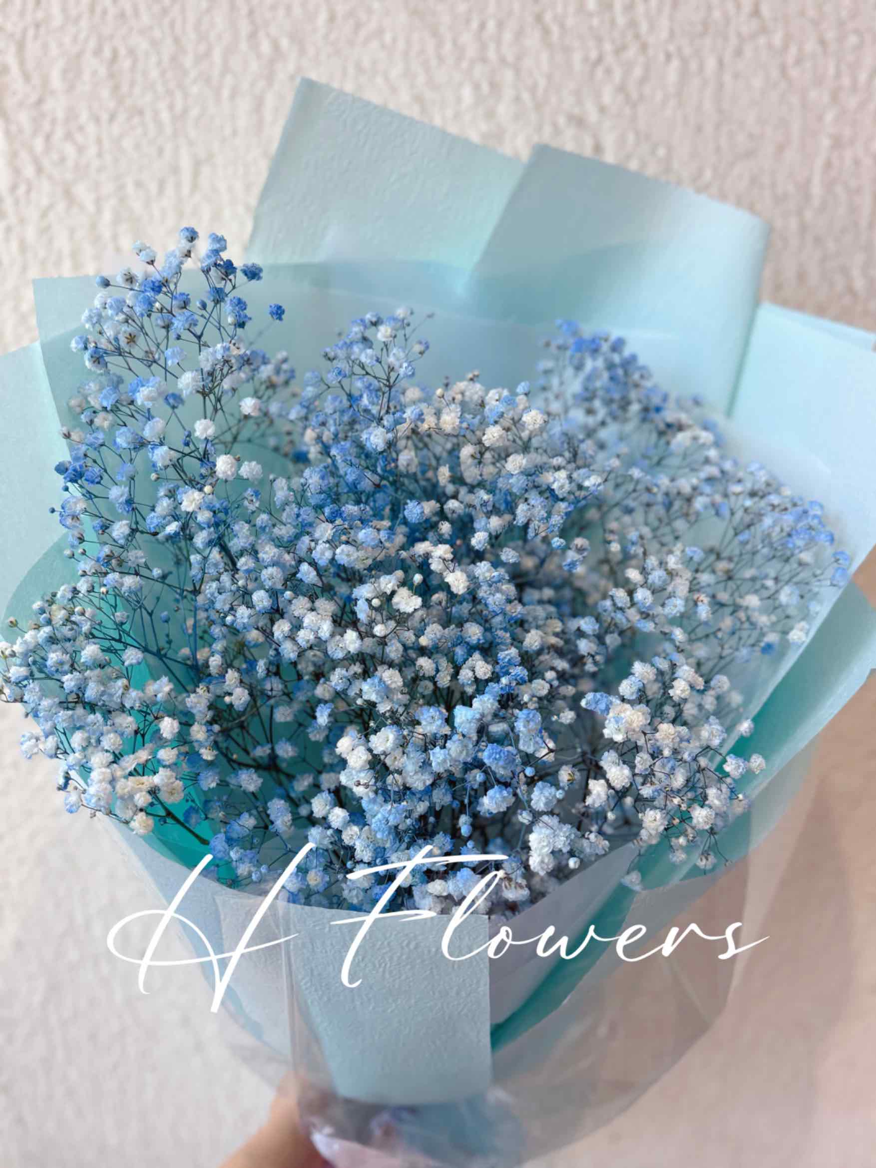 Blue Dream Baby’s Breath