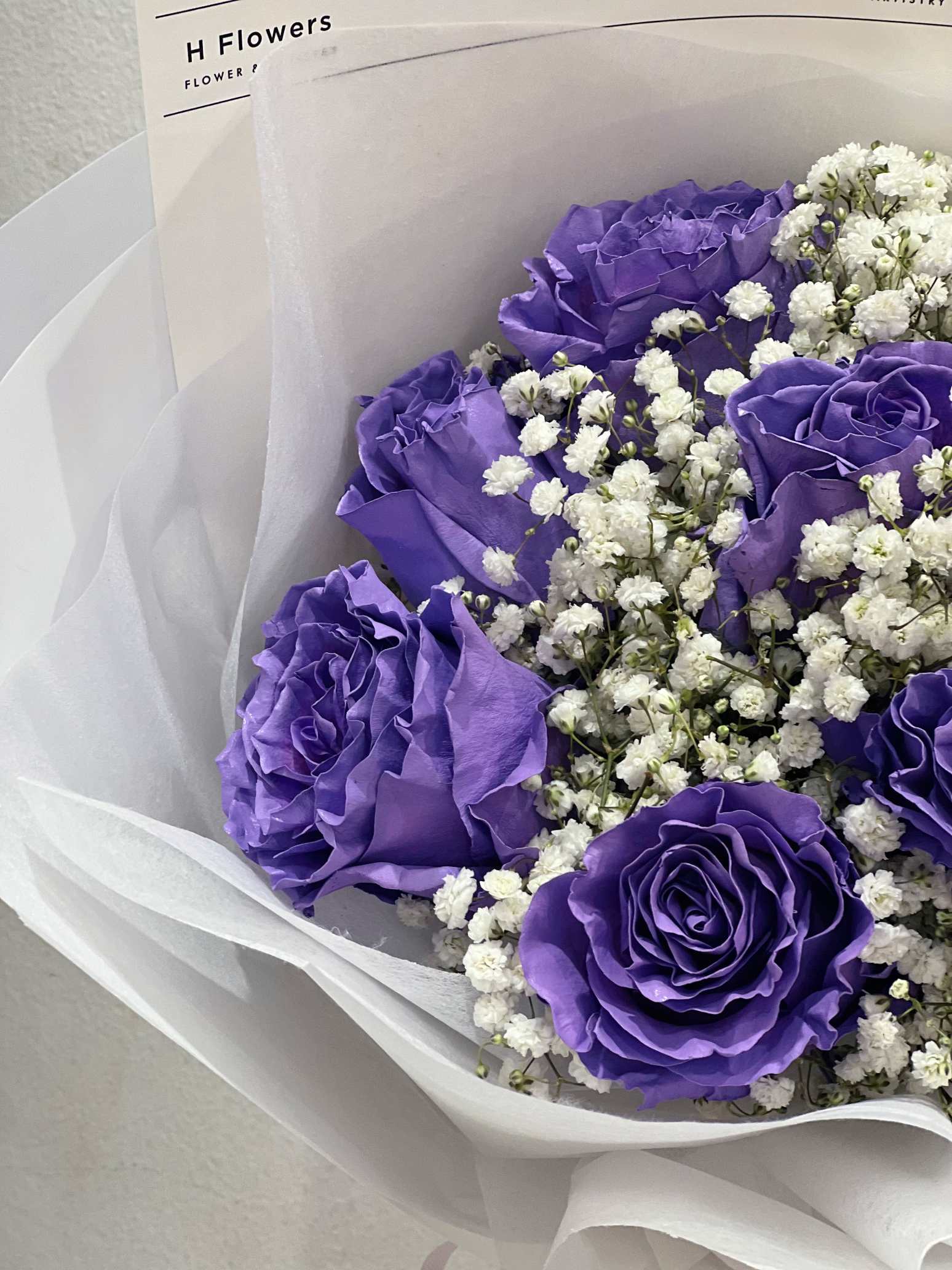 Lavender Dream