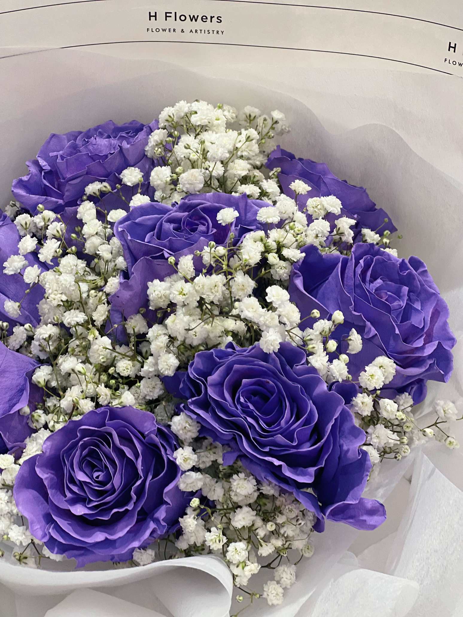 Lavender Dream