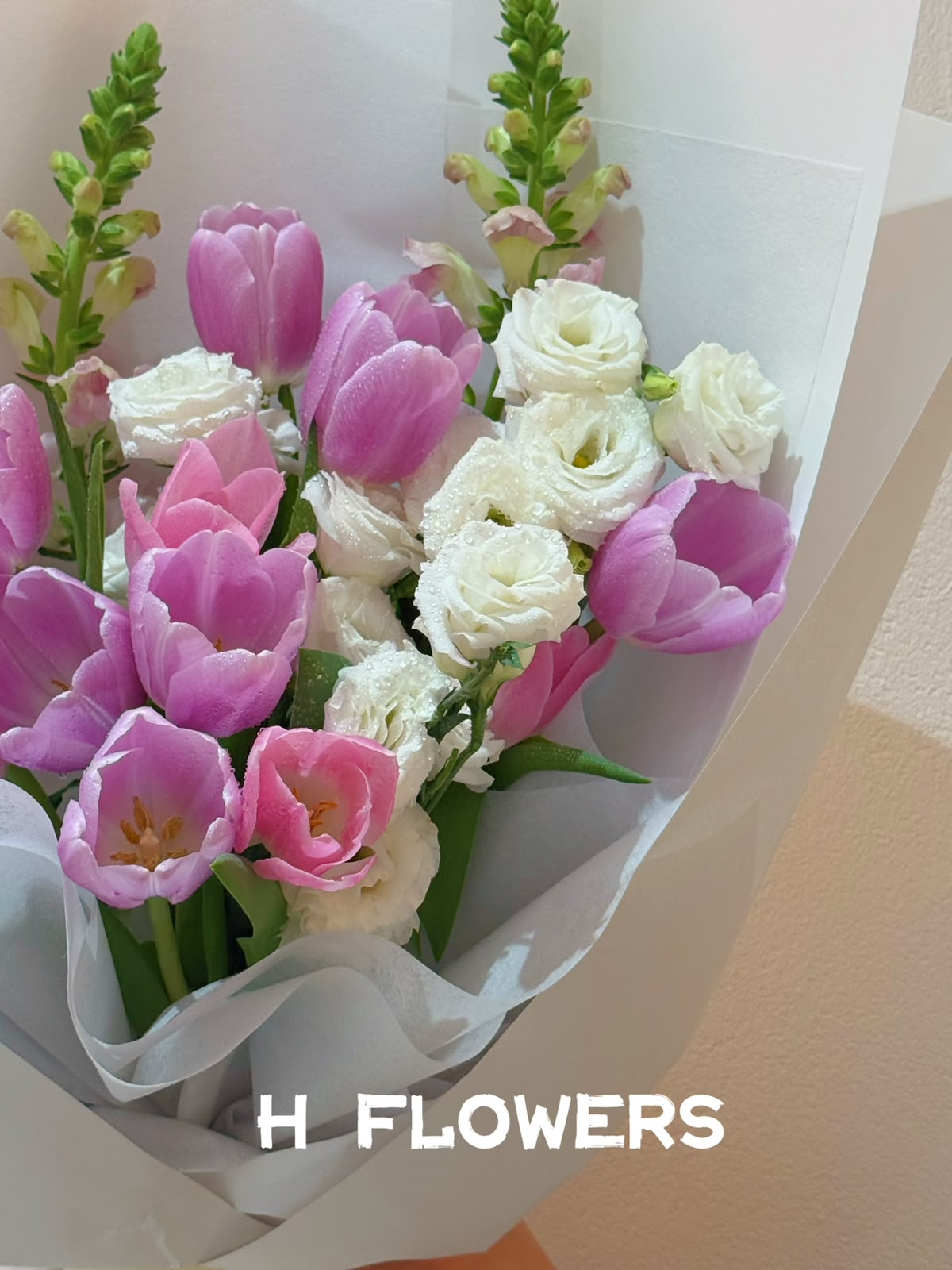 Pink Tulip Whispers