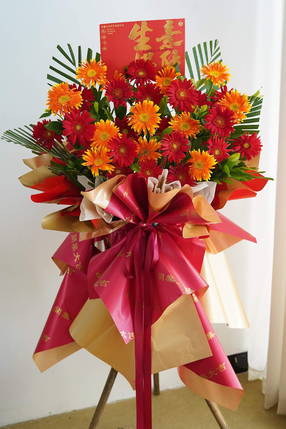 XLARGE 1.7M- 1.8M HEIGHT GRAND OPENING