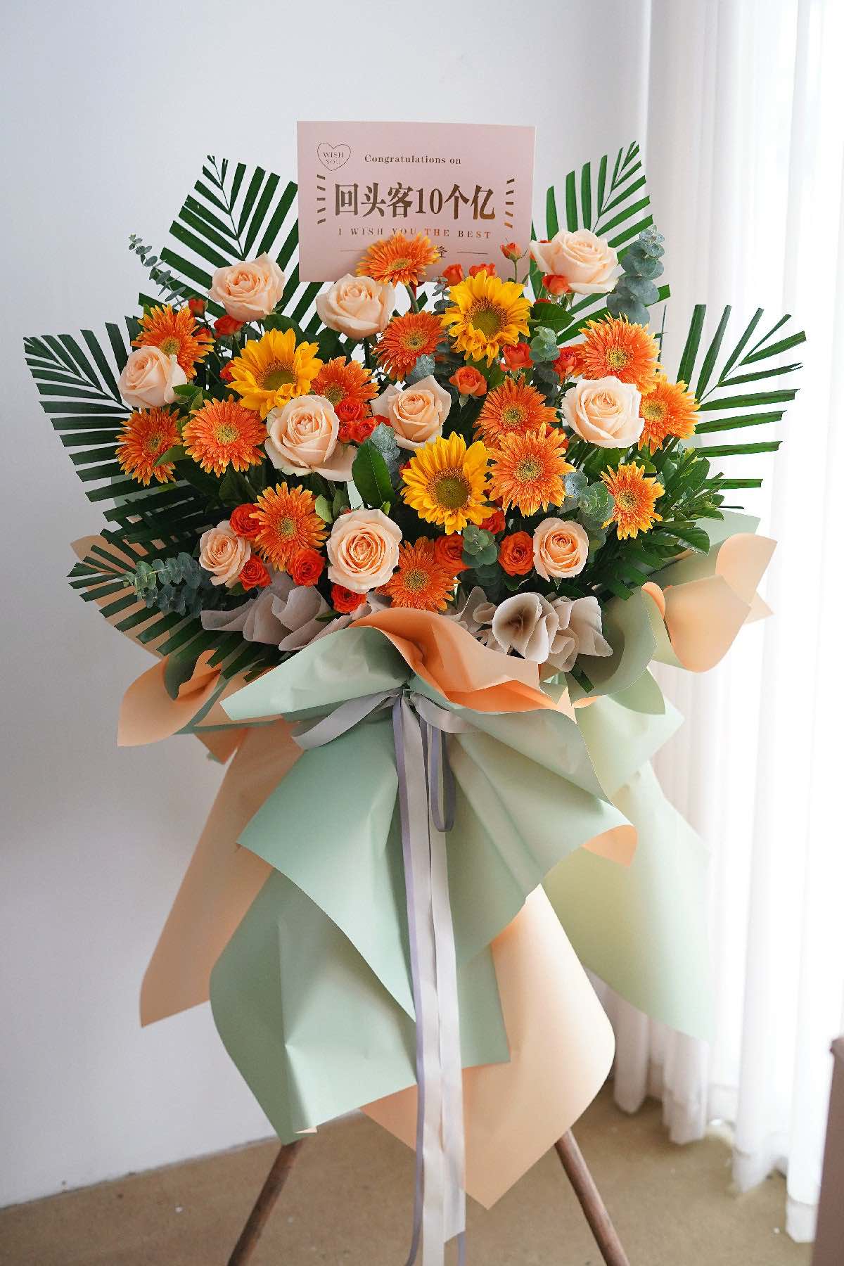 XLARGE 1.7M- 1.8M HEIGHT GRAND OPENING