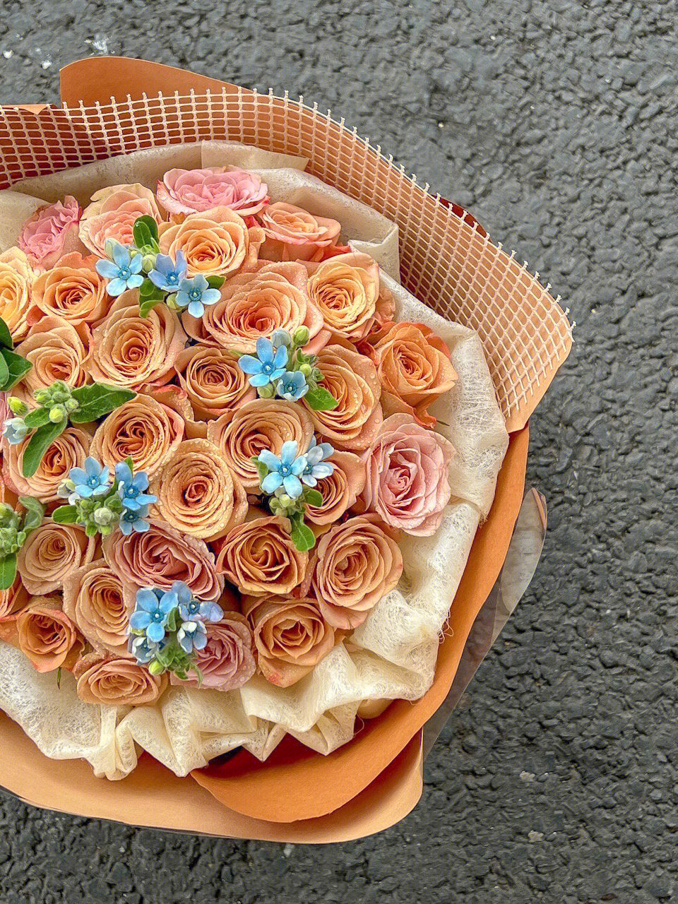 Cappuccino Rose Feast