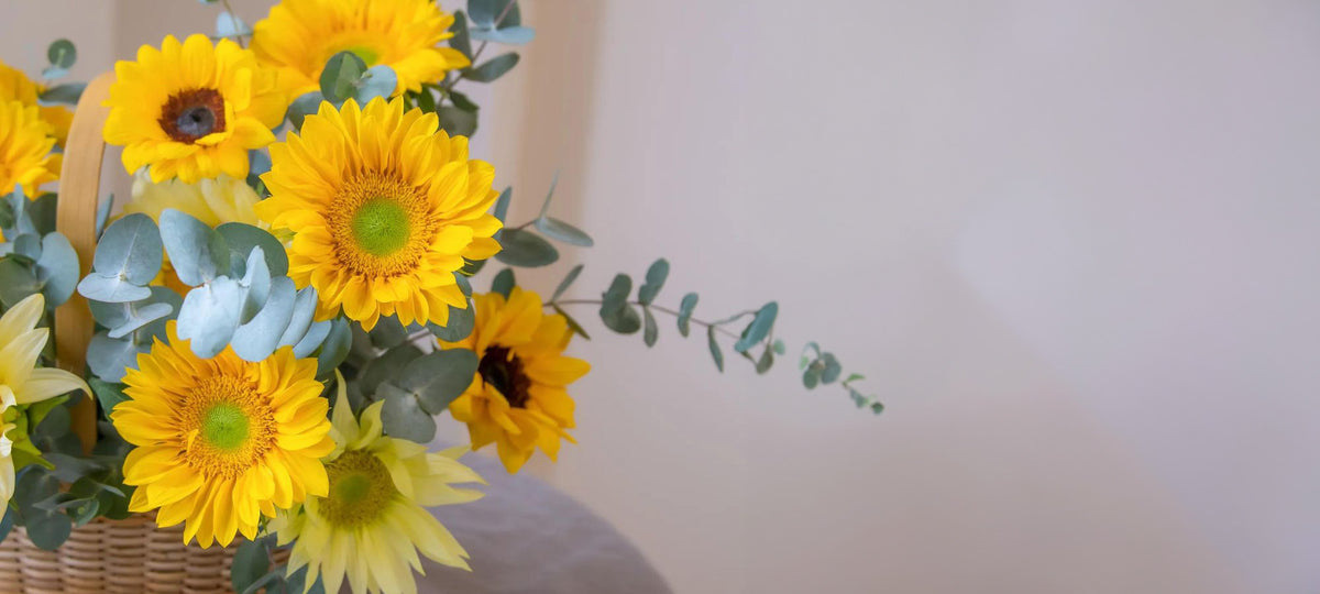 H Flowers Fresh & Dried Blooms, Unique Gifts, SameDay Delivery