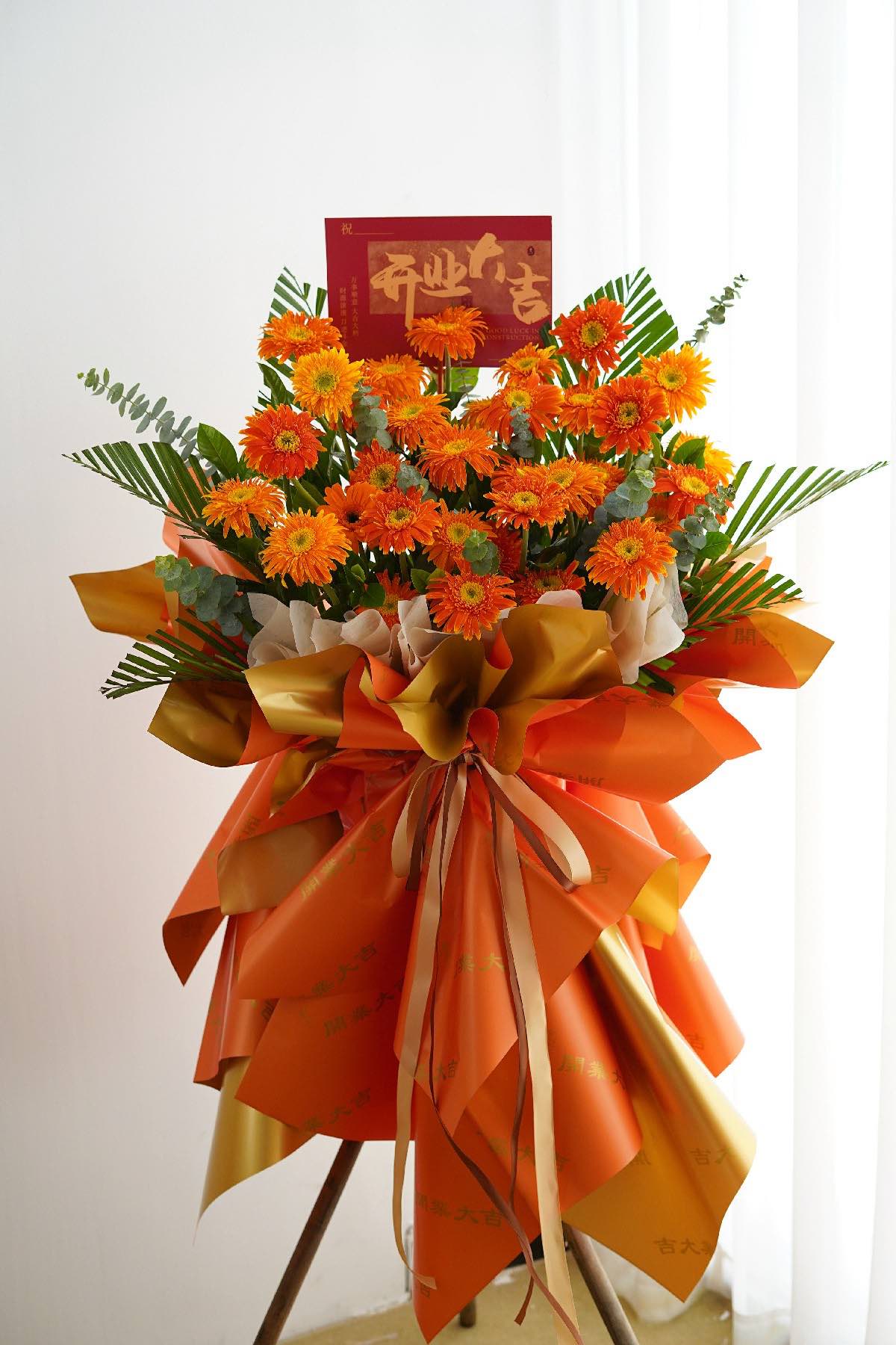 XLARGE 1.7M- 1.8M HEIGHT GRAND OPENING