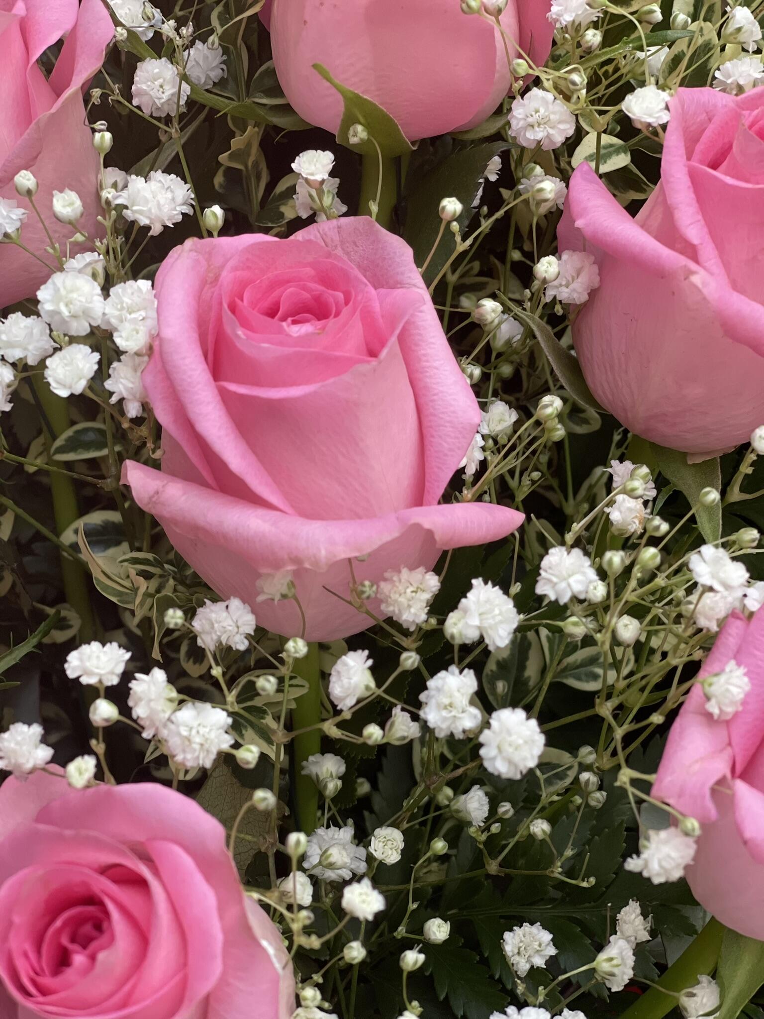 Pink Rose Starry Box