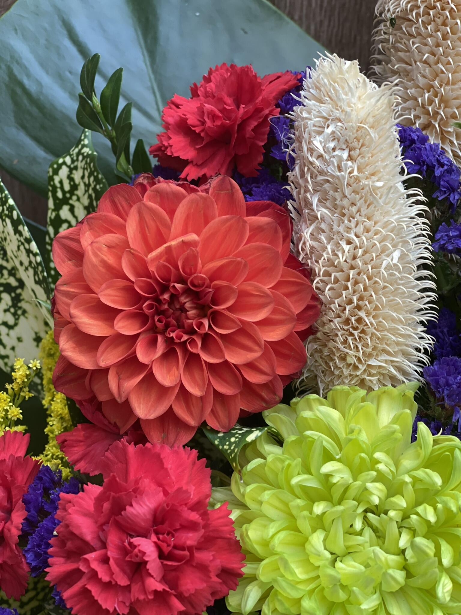 Chrysanthemum Rhythm with Leaves