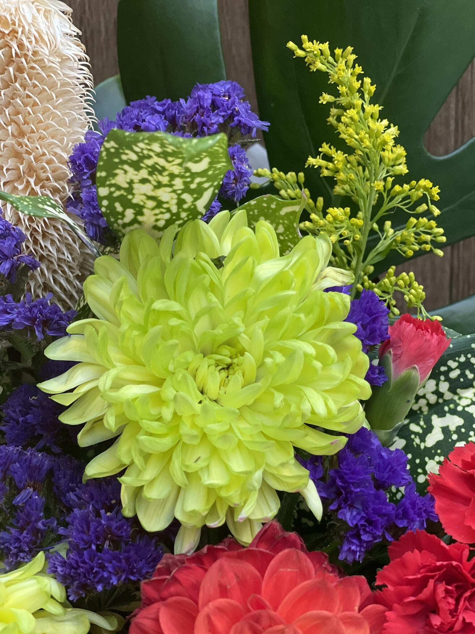 Chrysanthemum Rhythm with Leaves