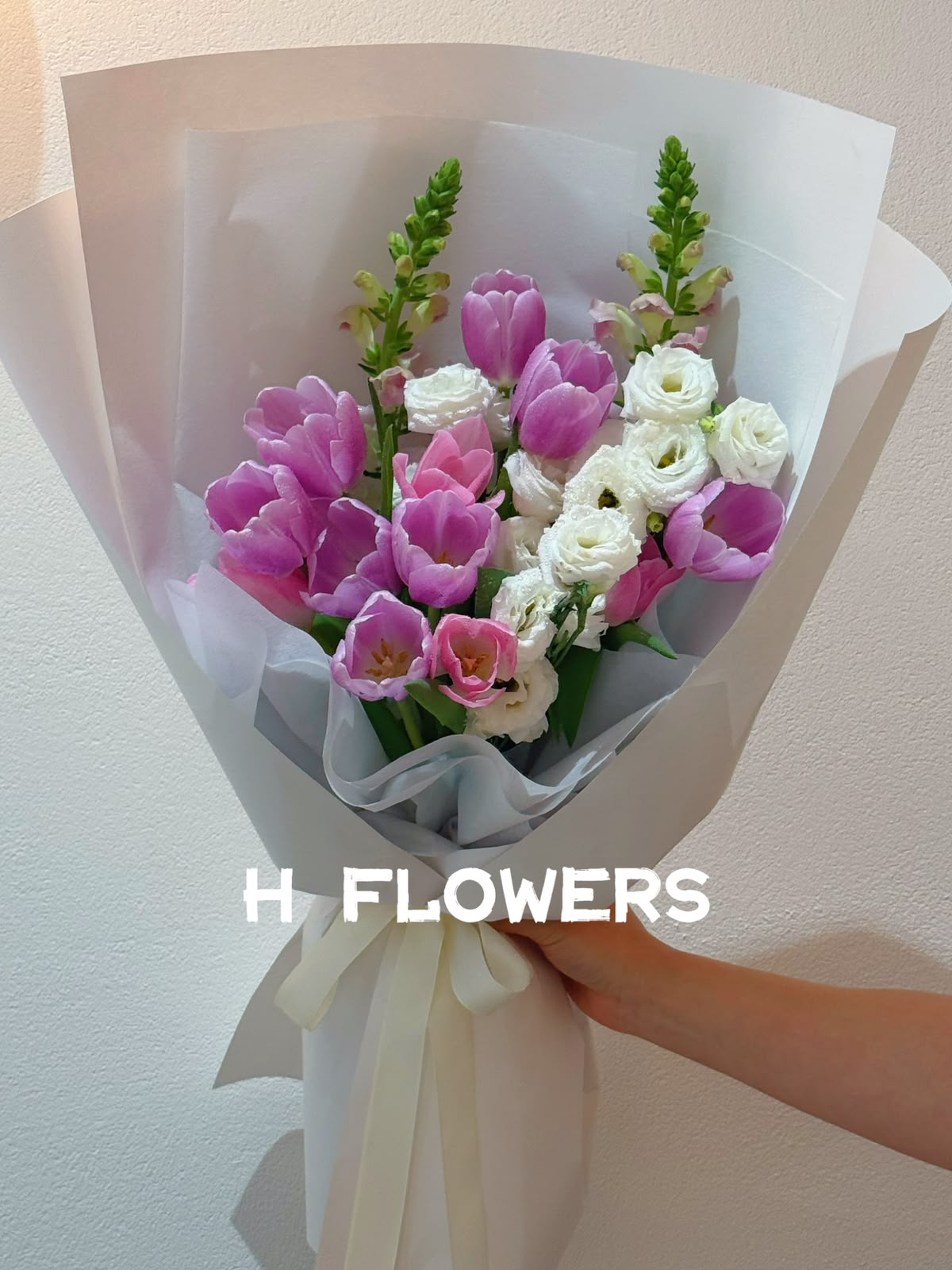Pink Tulip Whispers